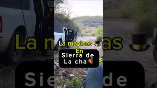 La mayizas están en sierra de la cha🍕 mayitoflaco mexico sinaloa lospshorts lpm [upl. by Anna157]