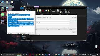 How to set up Netch on Windows  VibeNet LK [upl. by Yadnus]