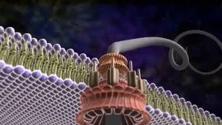 Amazing Flagellum  Michael Behe and the Revolution of Intelligent Design [upl. by Niltiac398]