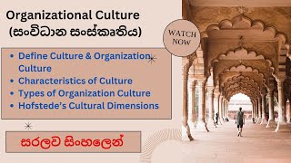 Organizational Culture in Sinhala  Organizational Behavior education  uniacademy  srilanka [upl. by Eisenstark]