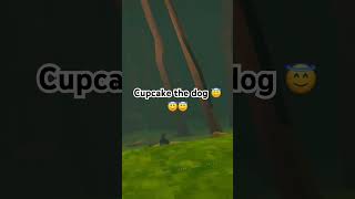 Tasmanian devil goes hard foryou vr funny fypシ゚viral fypシ゚ [upl. by Barbey]