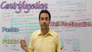 Centrifugation  Cell Fractionation  Biology  Class 11  Dr Mushtaq Pashto Lectures [upl. by Ytisahc459]