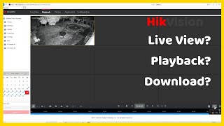 How To Use HikVision Web Interface  Live View  Playback  Download [upl. by Ntisuj578]