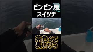 【ミニボート釣行】ビンビン風スイッチにこんな魚も釣れる！NEO374で魚釣り！ [upl. by Aenel260]