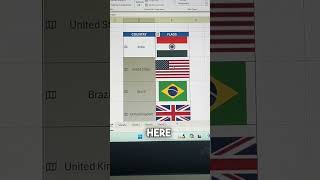 How to Insert Country Flags excel viral viralvideo exceltutorial shortvideo short shorts [upl. by Anyah]