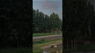 MashaAllah♥️ allah islam islamic muslim beautiful nature subscribe shorts youtube shorts [upl. by Peters]