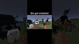 Minecraft Meme [upl. by Emil]