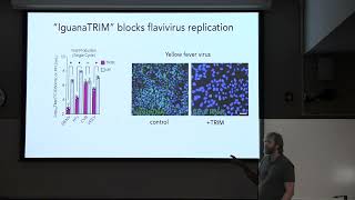 Ecology and Evolution Seminar The Impact of Infections on Evolution [upl. by Krispin]