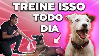 5 EXERCÍCIOS DO ADESTRAMENTO CANINO QUE VOCÊ DEVE FAZER TODOS OS DIAS EM CASA [upl. by Prevot933]