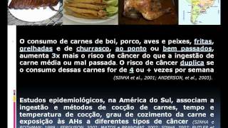 Um dos perigos do consumo de carnes fritas assadas e grelhadasmp4 [upl. by Fernand]