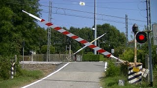 Spoorwegovergang Borgomanero I  Railroad crossing  Passaggio a livello [upl. by Atnad]