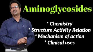 Aminoglycosides  Structure SAR Mechanism amp Uses of Streptomycin Kanamycin amp Neomycin [upl. by Aseuqram766]