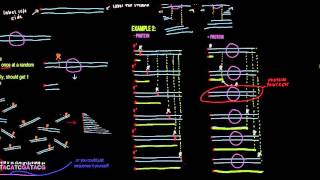 The DNase Footprinting Method Figure 537 [upl. by Gustafson265]