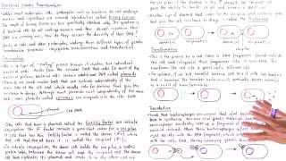 Conjugation Transformation and Transduction [upl. by Richardo]