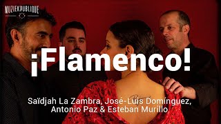 ¡Flamenco Saïdjah La Zambra JoséLuis Domínguez Antonio Paz amp Esteban Murillo [upl. by Enelehcim]