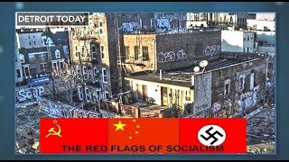 David Horowitz  Radical Leftists Have Destroyed Our Cities [upl. by Derril]