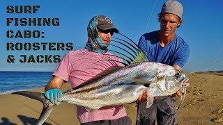 SURF FISHING CABO ROOSTERFISH JACKS [upl. by Eenej]