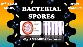 Bacterial Spores Bacterial Morphology General Microbiology MBBS 2nd Year [upl. by Loralyn]