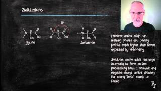 B21 Amino Acids [upl. by Aiyram]