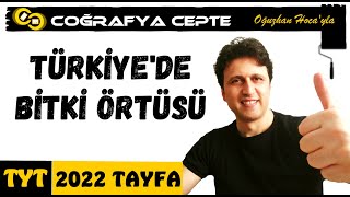 TÜRKİYEDE BİTKİ ÖRTÜSÜ  TYT COĞRAFYA [upl. by Valentine]