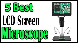 TOP 5 Best LCD Screen Microscope Review 2025 [upl. by Wollis]