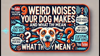 9 Weird Noises Your Dog Makes and What They mean [upl. by Modeerf]