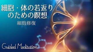 【誘導瞑想】細胞・体の若返りのための瞑想✨｜細胞修復・再生 [upl. by Ylrae323]