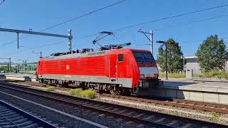 Treinen op station Geldermalsen 11082024 [upl. by Pillyhp366]