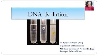 DNA Isolation [upl. by Melnick]