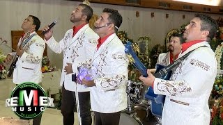 Los Liricos Jr  La guadalupana Serenata a la virgen de Guadalupe [upl. by Jaehne]