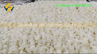 Modified starch production lineextruder factory productionline dogfood manufacturing [upl. by Aihsetal]