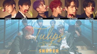 SNUPER  Tulips튤립 MV  Lyrics Color Coded HanRomEng [upl. by Ainsworth]