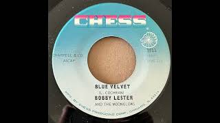 BOBBY LESTER AND THE MOONGLOWS  BLUE VELVET  PENNY ARCADE [upl. by Eiten679]