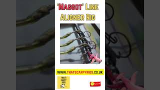 Maggot Carp Rig  What carp can RESIST a bunch of maggots carpfishing carprigs carp fishing [upl. by Treblig]