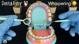 ASMR  Relaxing Dental Visit Melissa and Doug Toy Mouth Whispering [upl. by Greenman]