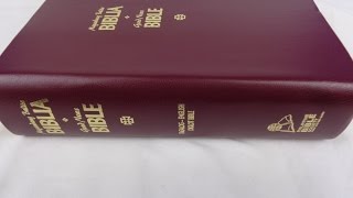 Tagalog  English Diglot Bible Burgundy Leather Cover with Thumb Index  TPV  TEV [upl. by Kyrstin396]