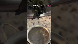 Butterfly 🦋 pea Tea☕️love like views share subscribe food pets friends video travel [upl. by Dworman]