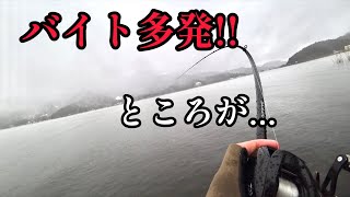 【琵琶湖バス釣り】雪降る琵琶湖でバイト多発ところが [upl. by Asirak]