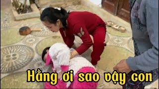 Hằng Trượt Chân Ngã Và Cái Kết 😞😞 [upl. by Dempstor]