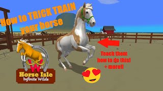 Horse Isle 3 How to Trick Train your horse [upl. by Nosde]