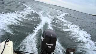 Evinrude etec 75hp 2004 [upl. by Dream412]