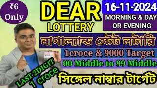 16112024 morning 6pm 8pm Target Number NagalandLottery Sambad LiveLottery Target Number [upl. by Vacuva]