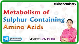 Metabolism Of Sulphur Containing Amino Acids  Biochemistry [upl. by Ellary]