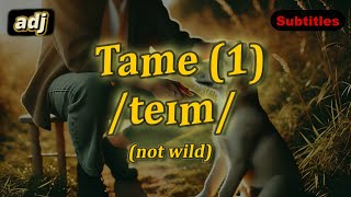 adj Tame meaning not wild with 5 examples [upl. by Alegnasor]