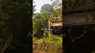 Beautiful Munnar  Cottages 🛖 munnar cottage explore couplegoals views hillstation subscribe [upl. by Georgi]