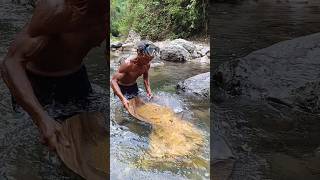 Gold miners can survive in rivers Amazing Panning for gold shorts panningforgold [upl. by Nonie336]