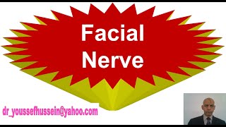 Facial nerve  Chorda tympani  Greater petrosal nerve  Facial palsy  Bells palsy [upl. by Schluter]