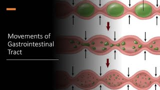 MOVEMENTS OF GASTRO INTESTINAL TRACT  PHYSIOLOGY  NOTES  MBBS  BAMS  BHMS  BDS [upl. by Reames742]