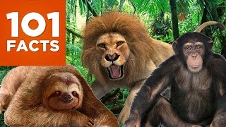 101 Facts About Animals [upl. by Olcott]