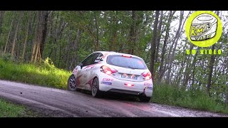 Rally Degli Abeti 2023 Show Crash San Marcello Piteglio LimaAbetone [upl. by Suelo]